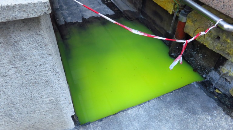 during my walk to the office. Want to take a bath? Looks safe.