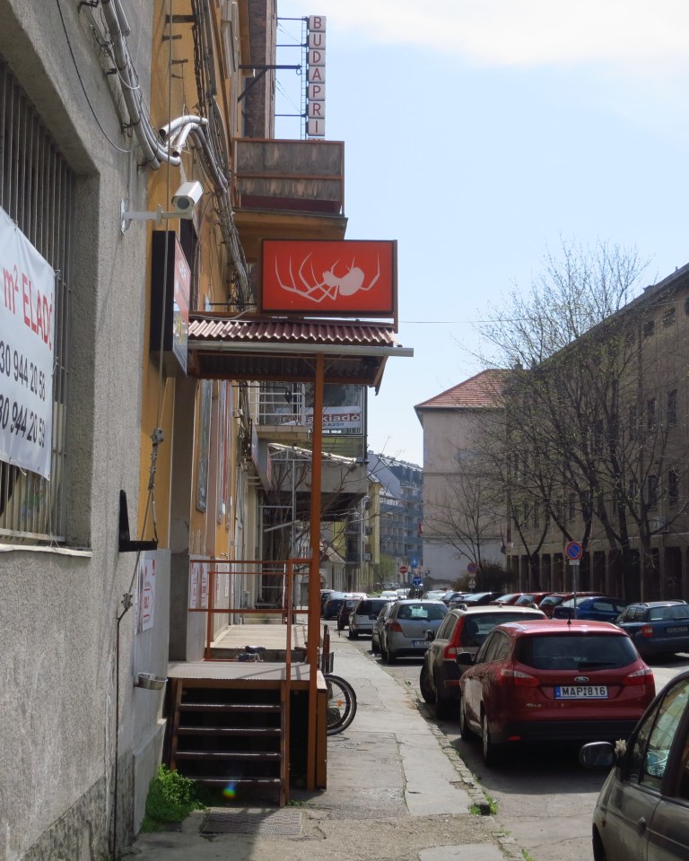 The (dead?) spider club