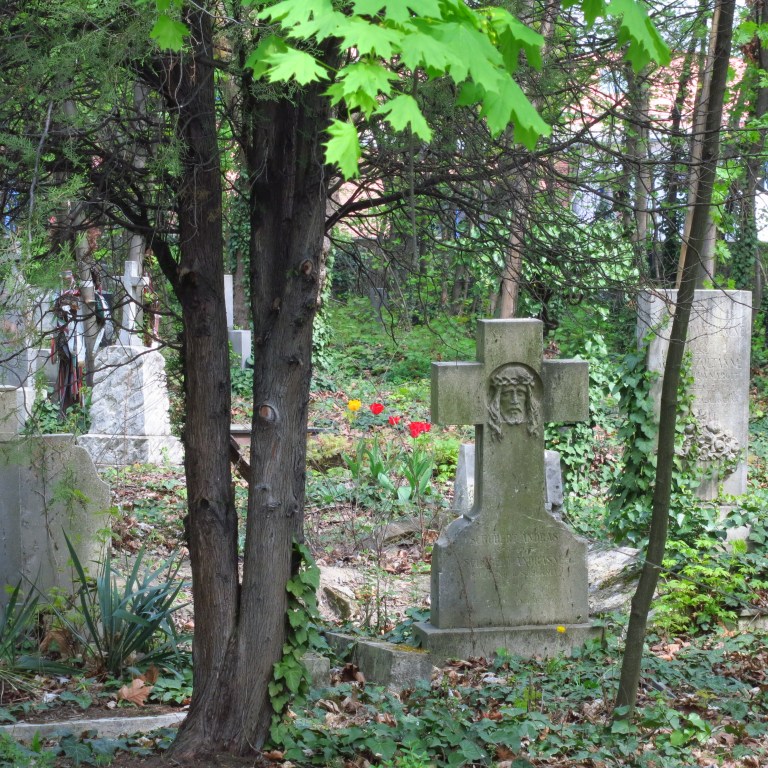 Spring is coming! Behind you! 