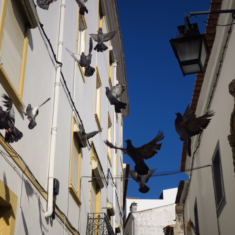 Portugal_20171010_126