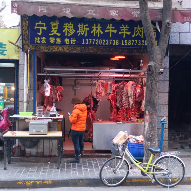 china_michi_cam_20190118_0158