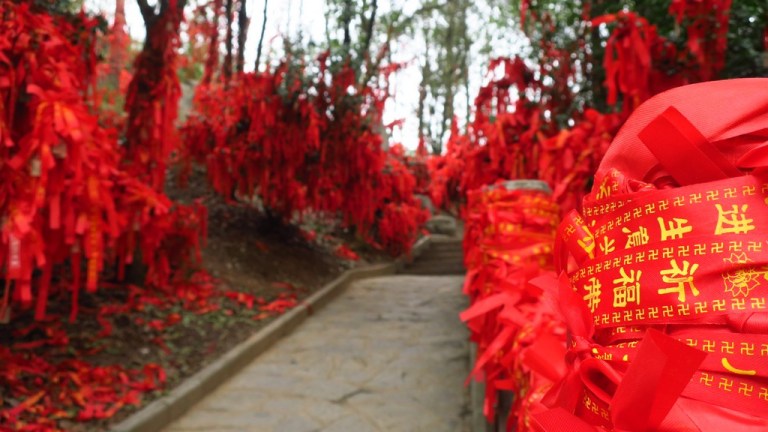 china_michi_cam_20190123_0540