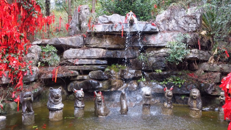 china_michi_cam_20190123_0542