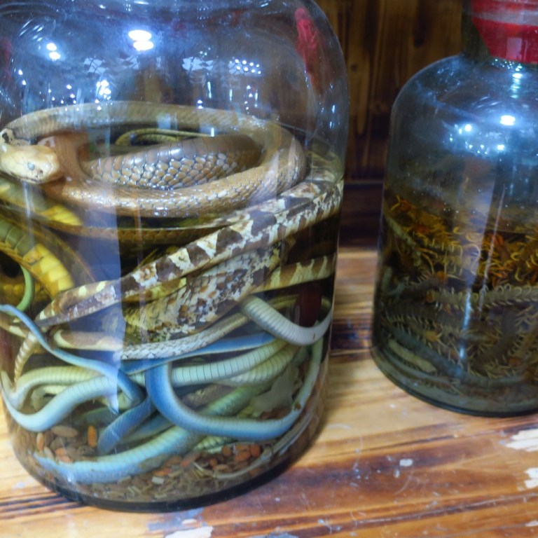 china_michi_cam_20190123_0549