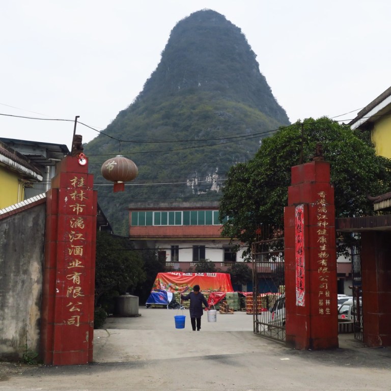 china_michi_cam_20190123_0558