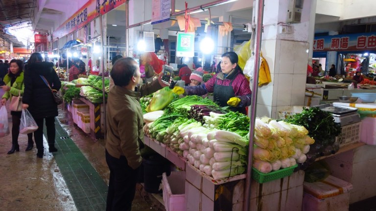 china_michi_cam_20190123_0566