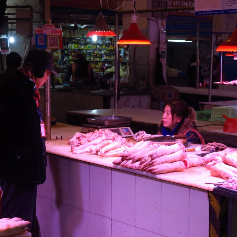 china_michi_cam_20190123_0568