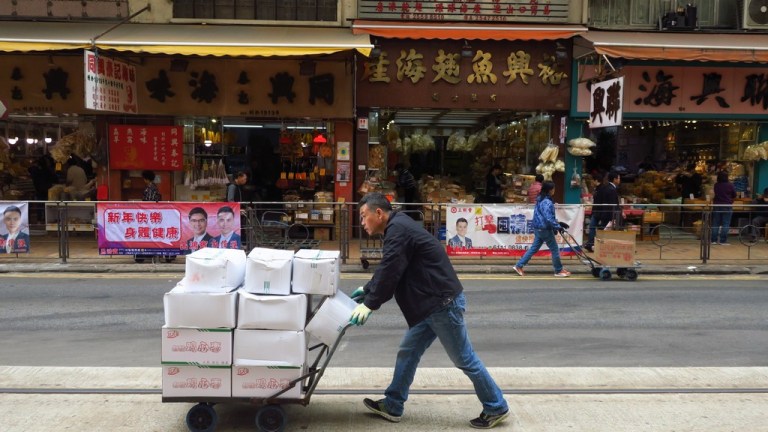 china_michi_cam_20190128_0933